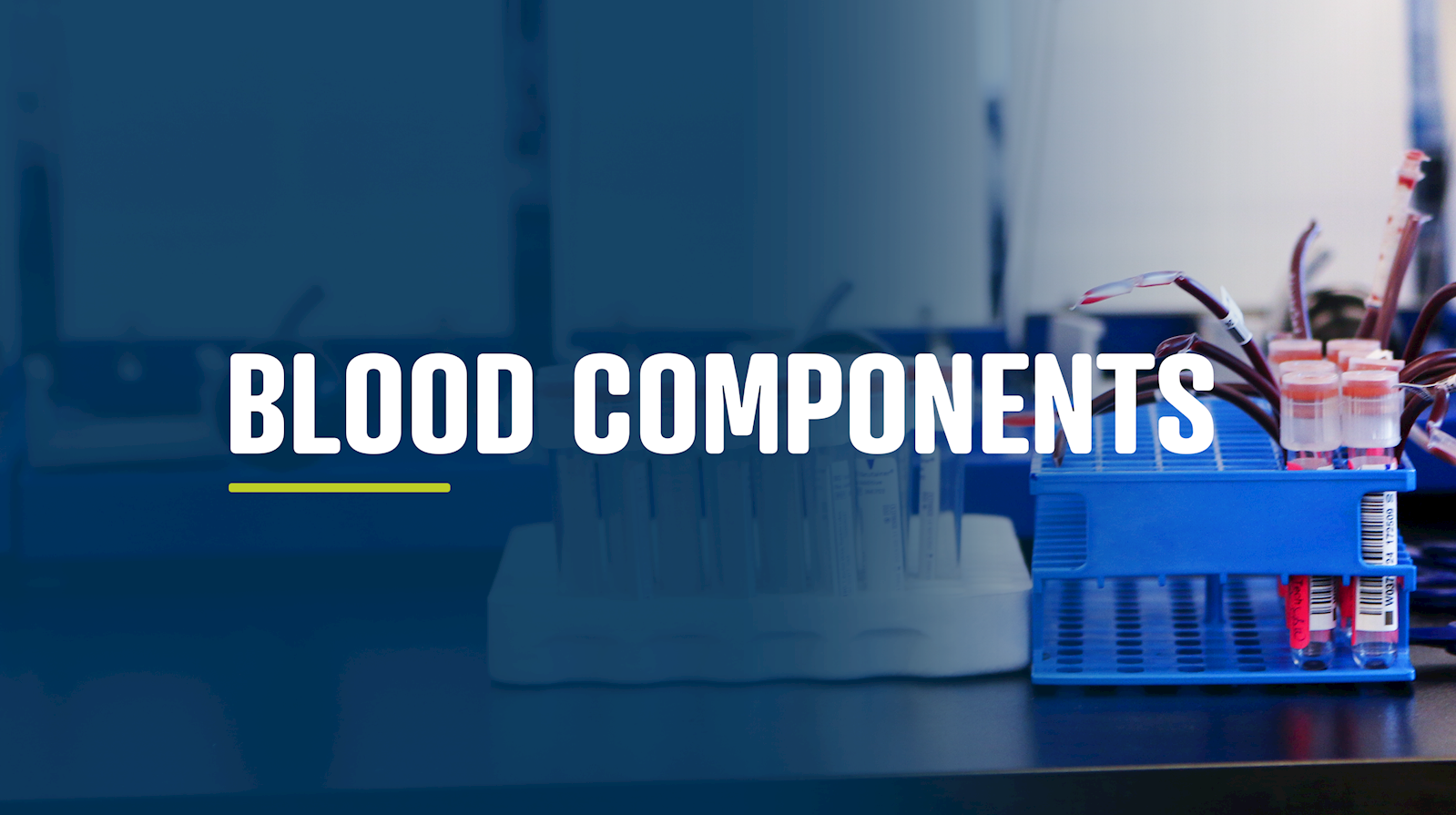 Blood Components