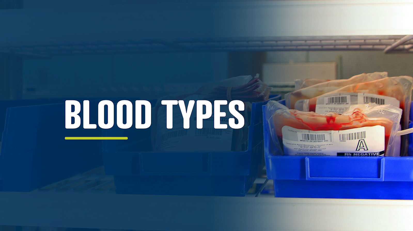 Blood Types