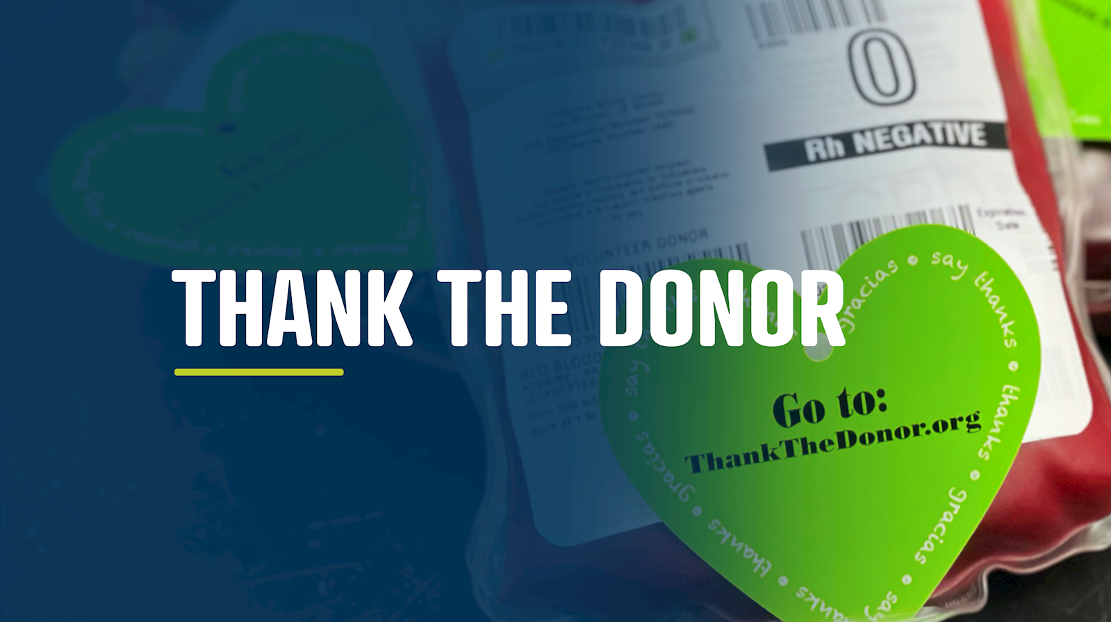 Thank the Donor