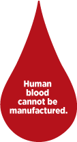 Fun Fact Friday: Bloody Good Facts - One Red Blood Cell